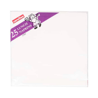 CAROLINE WHITE NAPKINS 2PLY 25'S X 15 (1262)